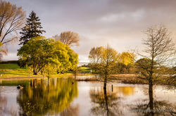 Guy Roe Reserve, Lake Rerewhakaaitu, Rotorua